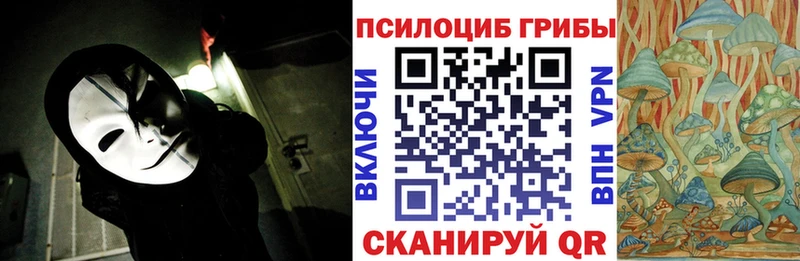 цена   Билибино  Псилоцибиновые грибы Magic Shrooms 